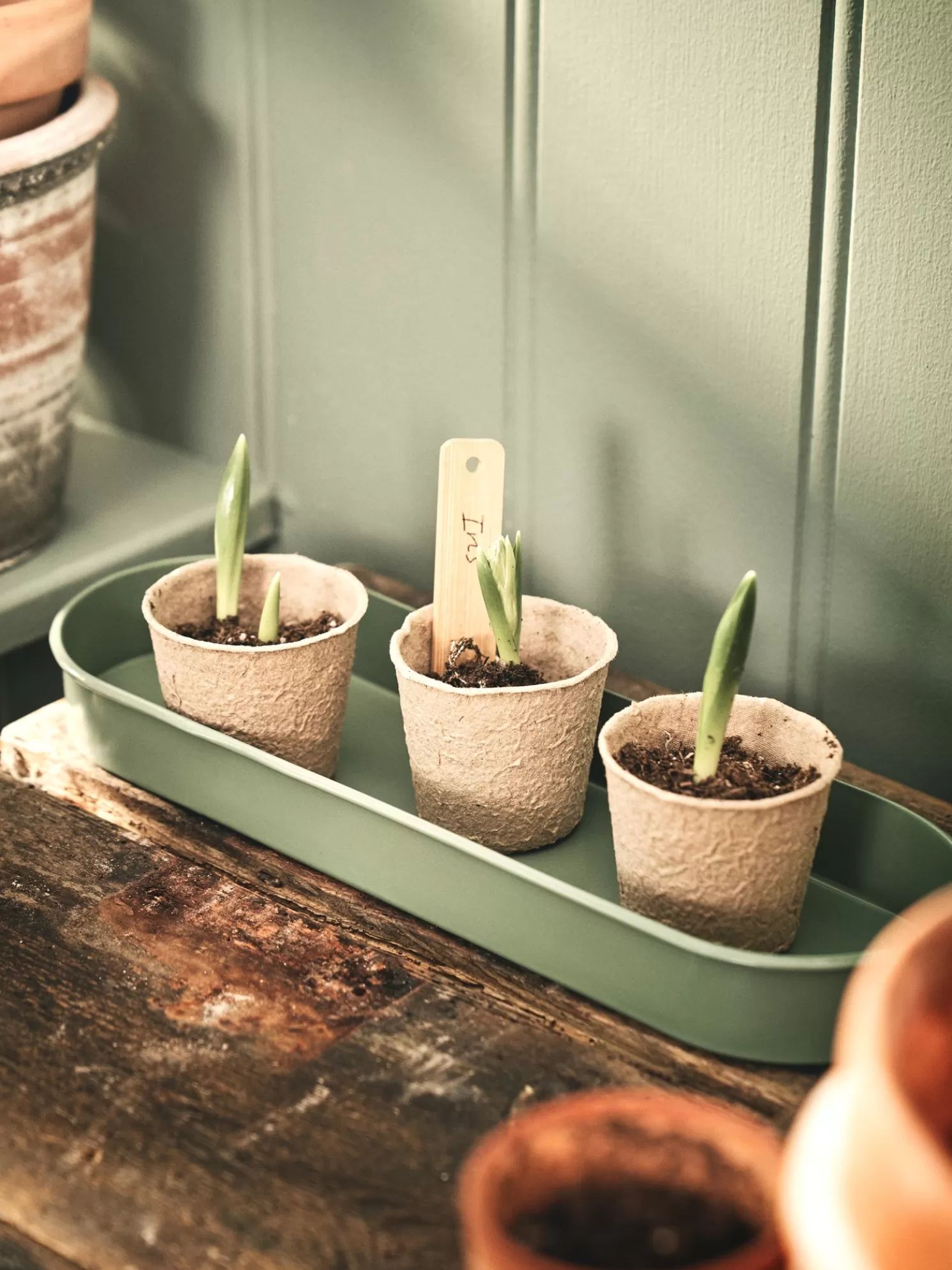 Outlet Søstrene Grene Schweiz Biologisch Abbaubare Anzuchttöpfe Dark Nature