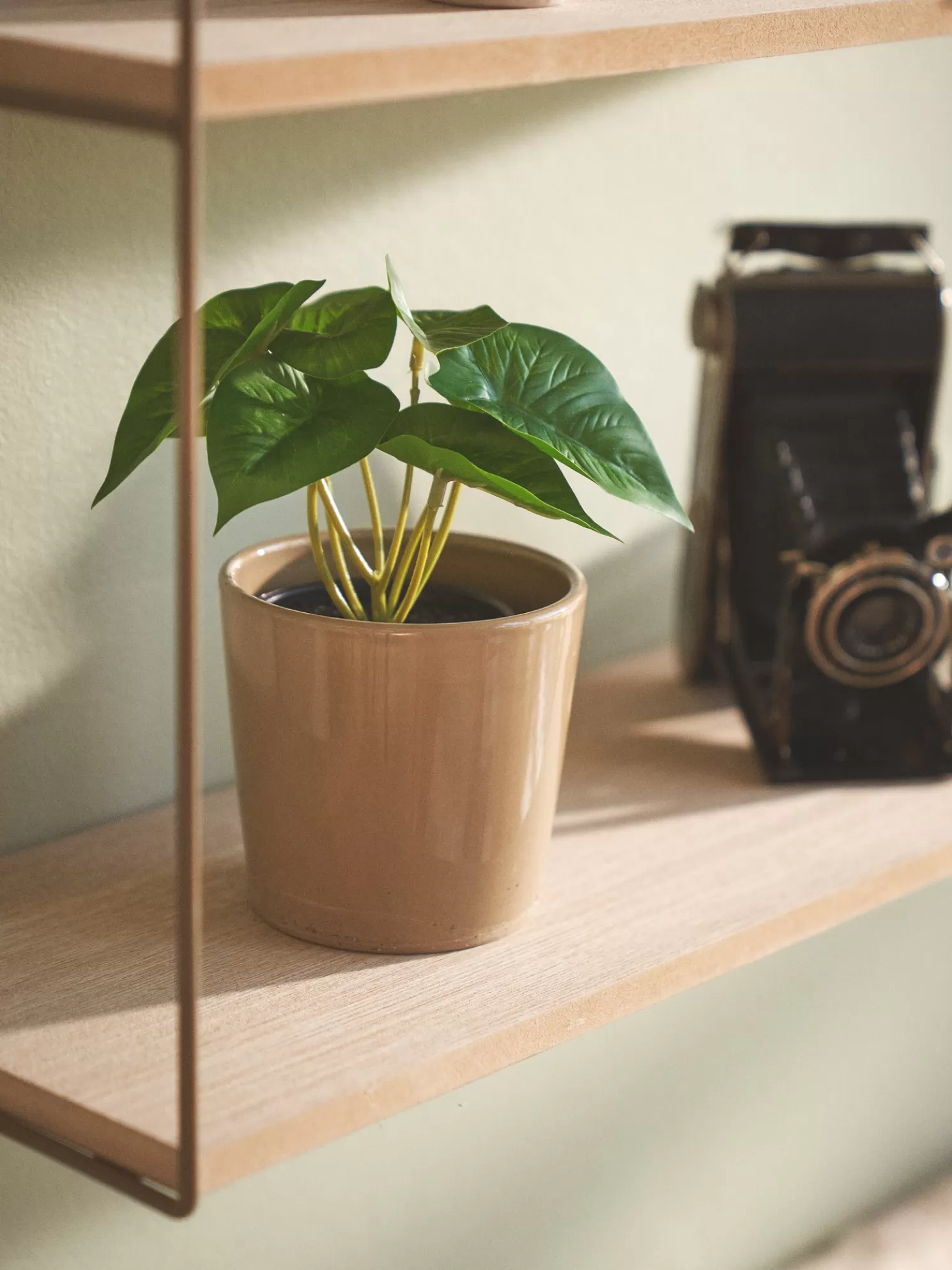 Fashion Søstrene Grene Schweiz Künstliche Blume Im Topf Dark Green