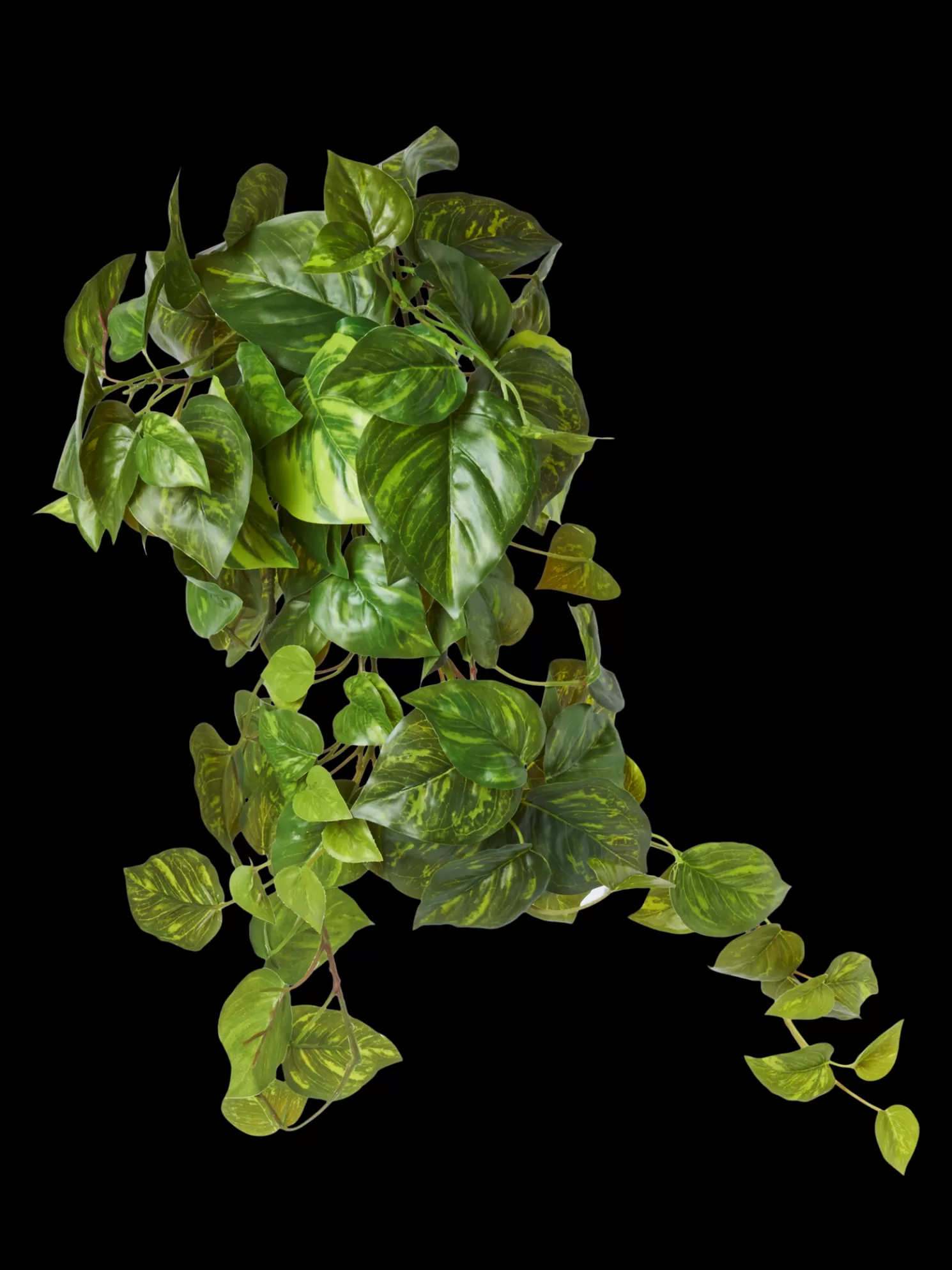 Outlet Søstrene Grene Schweiz Künstlicher Pothos Moss Green