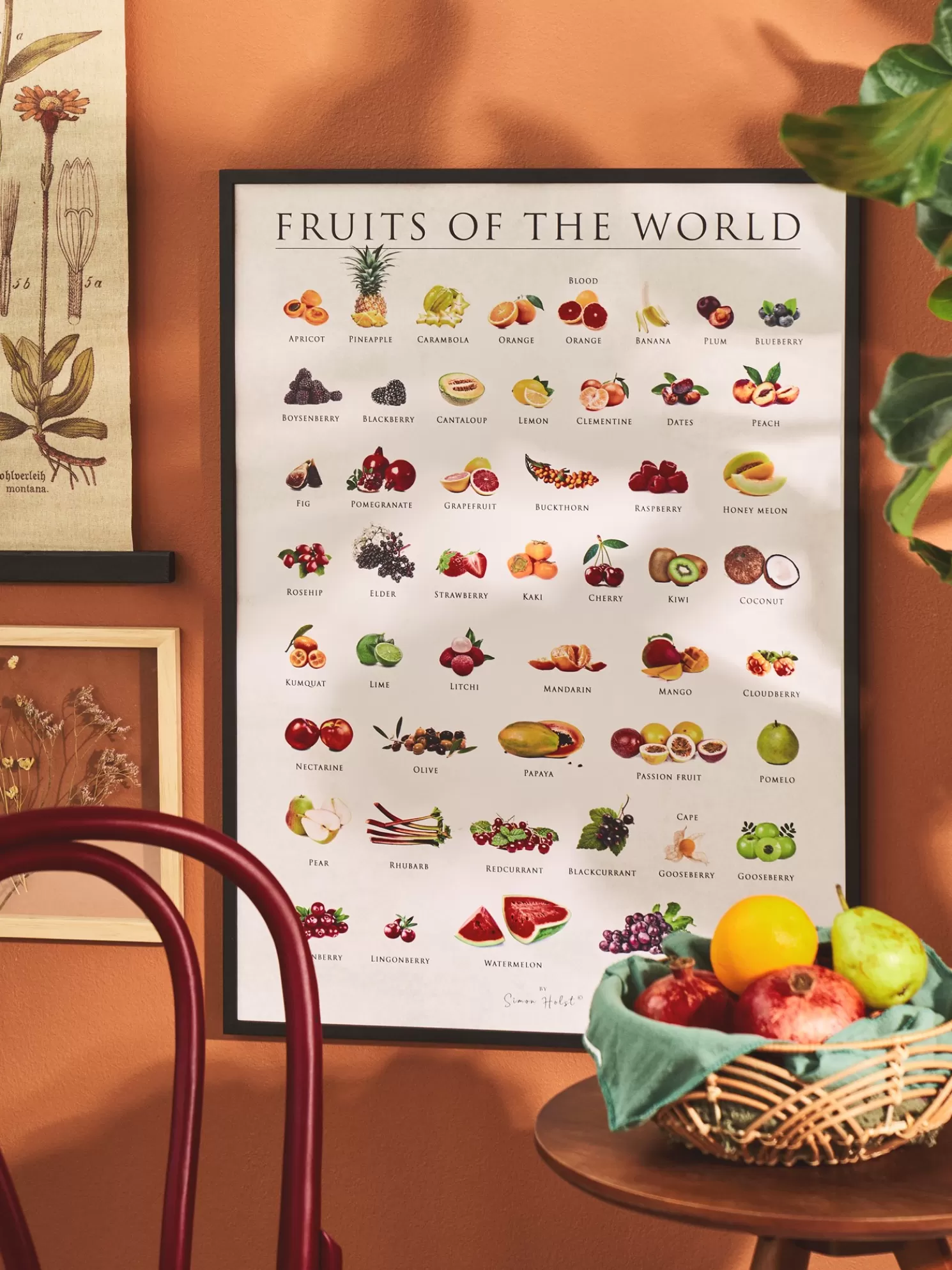 Outlet Søstrene Grene Schweiz Poster Fruits Of The World 50 X 70 Multi