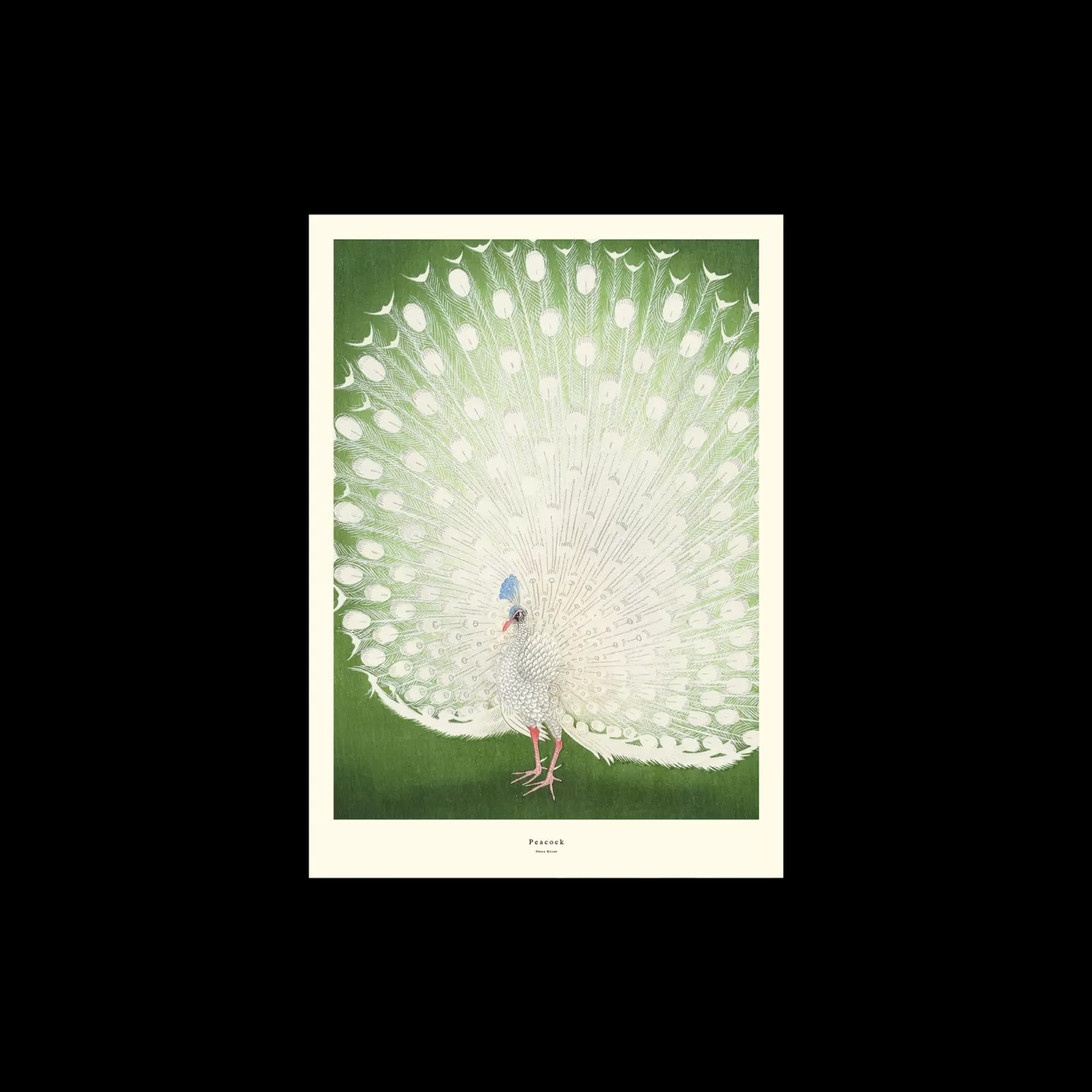 Fashion Søstrene Grene Schweiz Poster Peacock A3 Fern Green