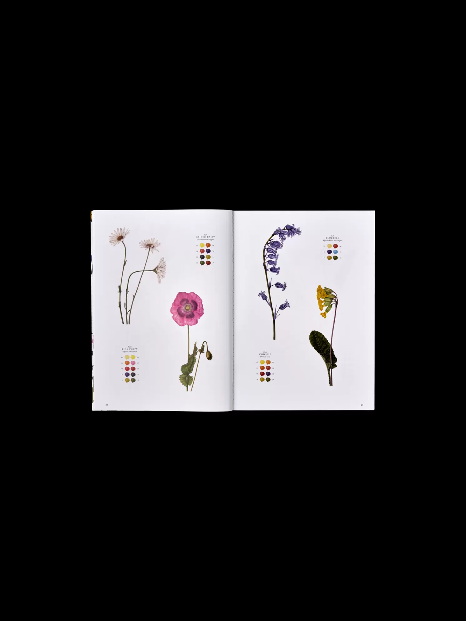 Outlet Søstrene Grene Schweiz Wildflowers Off White